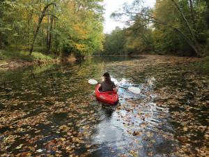 Kayaking in Kinni Creek